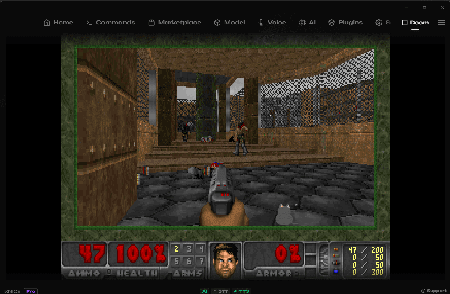 Doom running inside Astra